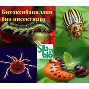 БТБ – биологический инсектицид