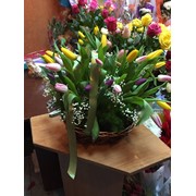 Цветы, букеты из цветов, комнатные растения, мягкие игрушки, сувениры. фото