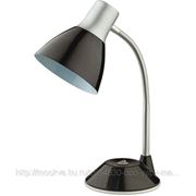 Настольная лампа Odeon Light Penu, 2416/1T фото