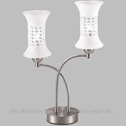 Настольная лампа Odeon Light Rukba, 2516/2T фото