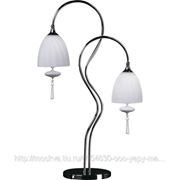 Настольная лампа Odeon Light Leman, 2570/2T фото