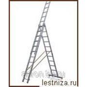 Трехсекционная профессиональная лестница Эйфель ТЛ 3х11