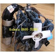 Двигатель Kubota D600 фото