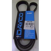 Ремень поликлиновый Dayco 6PK2145 фотография