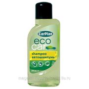 EcoCar Shampoo 500ml шампунь с экстрактами из кокосового ореха и алоэ-вера CarPlan фото