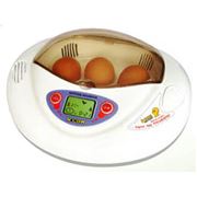 Домашний инкубатор для яиц
