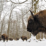 Кинопроизводство в Беларуси фотография