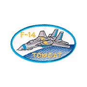 0113 Шеврон F-14 TOMCAT фото