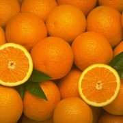 Апельсины, купить оптом апельсины Украина фото