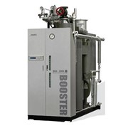 Газовый паровой котел Booster BSS-3000GX фото