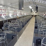 Комплекс оборудования для животноводческих помещений (ферм, комплексов) фото