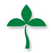 Добровольное страхование ответственности автомобильного перевозчика фото