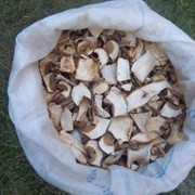 Сухі білі гриби фото