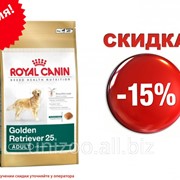 Сухой корм для собак Royal Canin Golden Retriever 25 Adult 12 кг фото