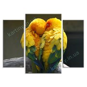 Картина Влюбленные попугайчики фото