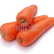 Морковь сушеная