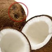Ароматизатор кокос фото