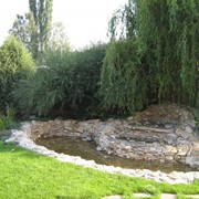 Устройство прудов, ручьев и водопадов в саду