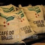 Кофе Арабика Бразилия Сантос, натуральный, зеленый (необжаренный) в зернах фото