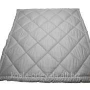 Одеяло пуховое (110x140 см)IGLEN фото