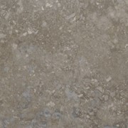 Плитка напольная AMTICO Stone (камень) SS5S3600