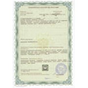 Фитосанитарный сертификат фото