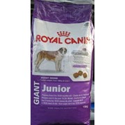 Корм для собак Royal Canin Giant Junior 15 кг фото