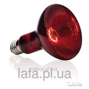 Инфракрасные лампы обогрева молодняка ИКЗК 250 (Красная) фотография
