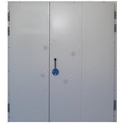 Дверь распашная двустворчатая для холодильной камеры РДД-1400.2400/02-100-Н фото