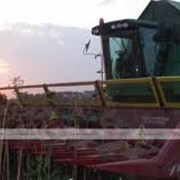Жатка НАШ-1273-09 фото