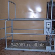 Весы электронные для скота фото