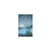 Узоры на стекле. Шишова Т.Л. фото