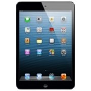 Apple iPad mini 16Gb Wi-Fi Black фото