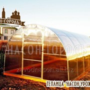 Теплица “Насон-Урожайная“ фото