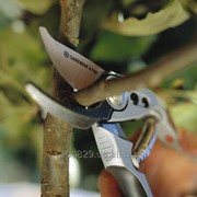 Обрезка плодовых деревьев и кустов. Догляд за садом (Комплексний) фотография