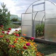 Теплица ТЭНФИ фото