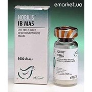 Вакцина Нобилис IB MA 5 10 х 2500 D