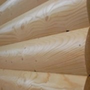 Блок-хаус из лиственницы 27 мм 135мм*(3,0;3,5;4;0)м, сорт Экстра, кв. метр фото