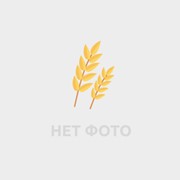 Тритикале сорт Князь фото