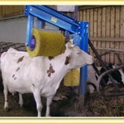 Щетки для животных. Автоматическая щетка для коров PROFI-COW фото