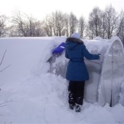 Теплицы 4м, 6м, 8м из трубы 20х40, 20х20 шаг (0,67) Полный комплает , Надежный поликарбонат . 1240-17-97 фотография