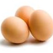 Получение инкубационных яиц гусей