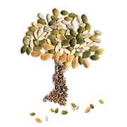 Семена льна масличного Версаль фото