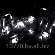 Гирлянда - сеть Чейзинг LED 2*3м (432 диода), КАУЧУК, БЕЛЫЕ диоды фотография