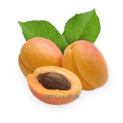 Абрикос Сезон сбора: июнь-август фото