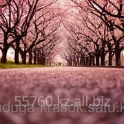 Картина стразами Цветущая аллея 40х50 см фото