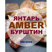 Янтарь, Бурштин, Amber 50+