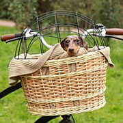 Велосипедная корзина для животных фото