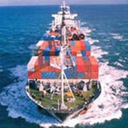 Морские контейнерные грузоперевозки фото