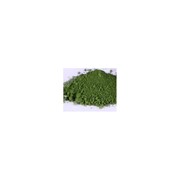 Сухая краска Sugarflair Зеленая листва 5 мл фото
